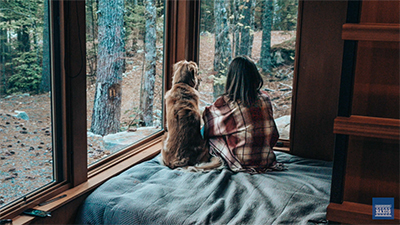 반려동물과 함께 듣는 클래식 (Classical Music with Pets)